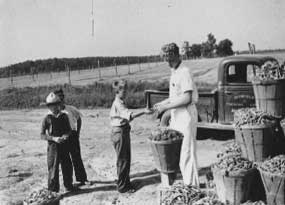 Child Labor Photograph