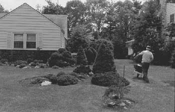 Levittown yard, 1990